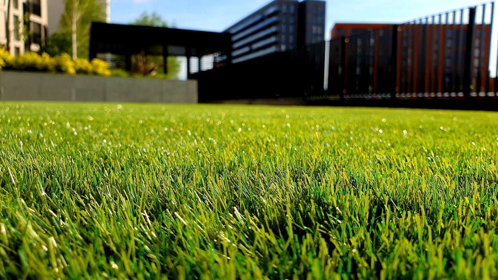 Freshly mown lush green lawn in Christchurch