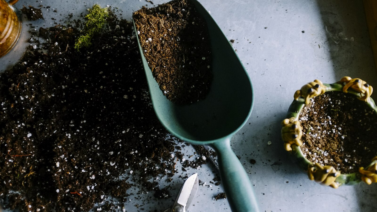 Gardening tools, soil scoop and secateurs on a potting bench